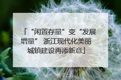 “闲置存量”变“发展增量” 浙江现代化美丽城镇建设再添新意