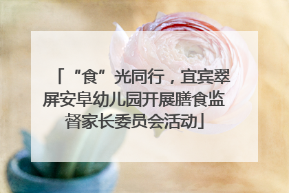 “食”光同行，宜宾翠屏安阜幼儿园开展膳食监督家长委员会活动