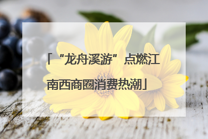 “龙舟溪游”点燃江南西商圈消费热潮