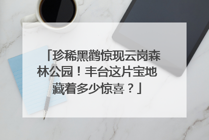 珍稀黑鹳惊现云岗森林公园！丰台这片宝地藏着多少惊喜？