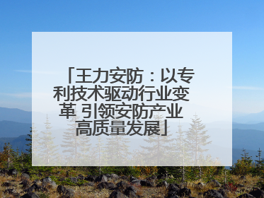 王力安防：以专利技术驱动行业变革 引领安防产业高质量发展