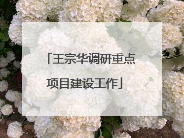 王宗华调研重点项目建设工作