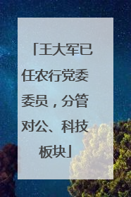 王大军已任农行党委委员，分管对公、科技板块