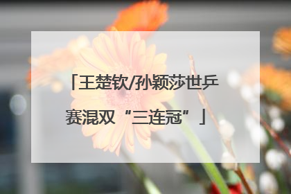 王楚钦/孙颖莎世乒赛混双“三连冠”