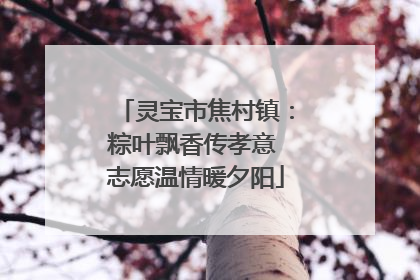 灵宝市焦村镇：粽叶飘香传孝意 志愿温情暖夕阳