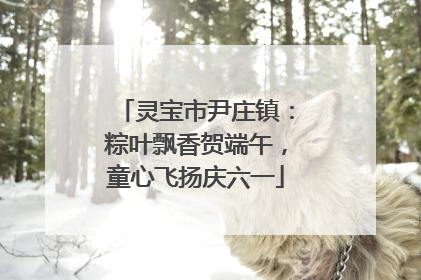 灵宝市尹庄镇：粽叶飘香贺端午，童心飞扬庆六一