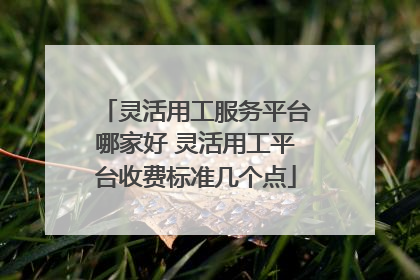 灵活用工服务平台哪家好 灵活用工平台收费标准几个点