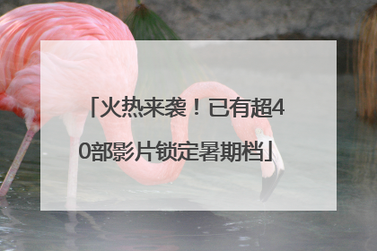 火热来袭！已有超40部影片锁定暑期档