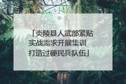 炎陵县人武部紧贴实战需求开展集训 打造过硬民兵队伍