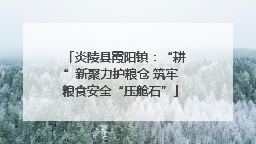 炎陵县霞阳镇：“耕”新聚力护粮仓 筑牢粮食安全“压舱石”