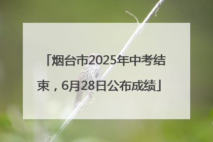 烟台市2025年中考结束，6月28日公布成绩