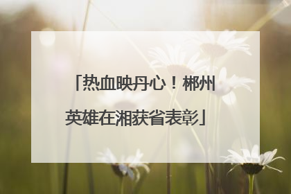 热血映丹心！郴州英雄在湘获省表彰