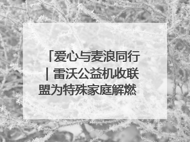 爱心与麦浪同行｜雷沃公益机收联盟为特殊家庭解燃“麦”之急
