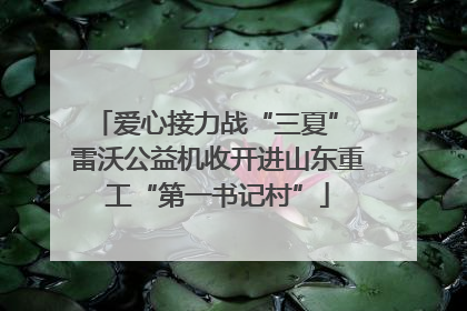爱心接力战“三夏” 雷沃公益机收开进山东重工“第一书记村”