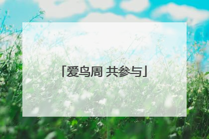 爱鸟周 共参与