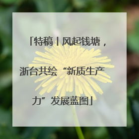 特稿丨风起钱塘，浙台共绘“新质生产力”发展蓝图