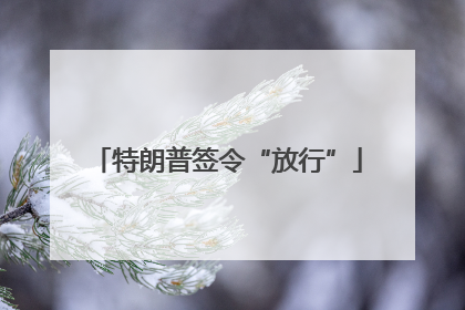特朗普签令“放行”
