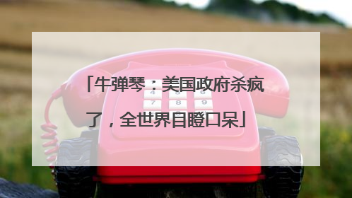牛弹琴：美国政府杀疯了，全世界目瞪口呆