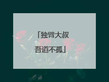 独臂大叔 吾道不孤