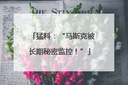 猛料：“马斯克被长期秘密监控！”
