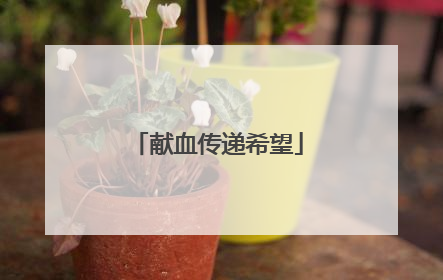 献血传递希望
