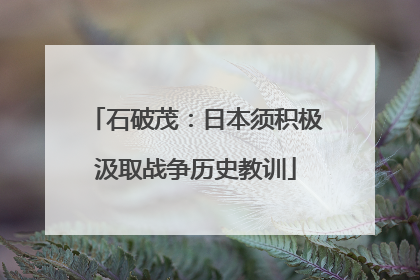 石破茂：日本须积极汲取战争历史教训