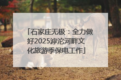 石家庄无极：全力做好2025滹沱河畔文化旅游季保电工作