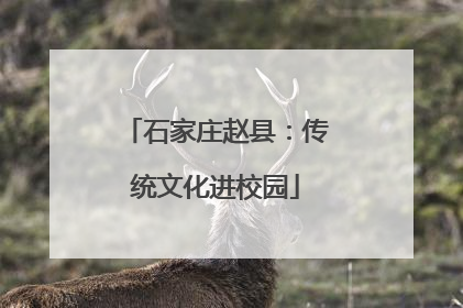 石家庄赵县：传统文化进校园