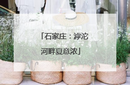 石家庄：滹沱河畔夏意浓
