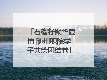 石榴籽聚华夏情 随州职院学子共绘团结卷