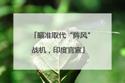 瞄准取代“阵风”战机，印度官宣