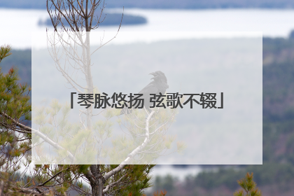 琴脉悠扬 弦歌不辍