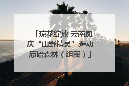 琼花绽放 云南凤庆“山野精灵”舞动原始森林（组图）