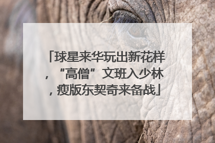 球星来华玩出新花样，“高僧”文班入少林，瘦版东契奇来备战