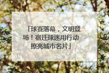 球赛落幕，文明登场！宿迁球迷用行动擦亮城市名片