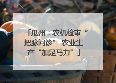 瓜州：农机检审“把脉问诊” 农业生产“加足马力”