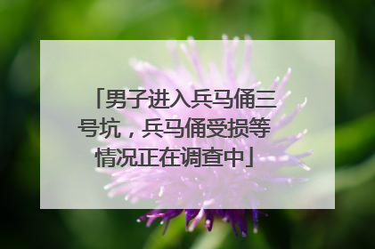 男子进入兵马俑三号坑，兵马俑受损等情况正在调查中