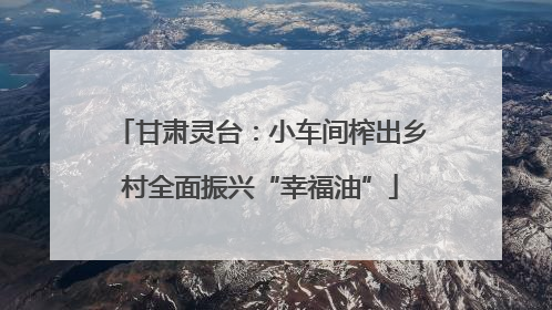 甘肃灵台：小车间榨出乡村全面振兴“幸福油”