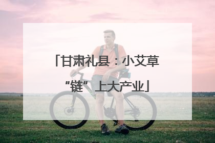 甘肃礼县：小艾草“链”上大产业