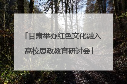 甘肃举办红色文化融入高校思政教育研讨会