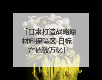 甘肃打造战略原材料保障区 目标产值破万亿