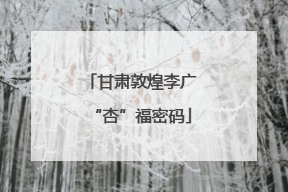 甘肃敦煌李广“杏”福密码