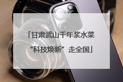 甘肃武山千年浆水菜“科技焕新”走全国