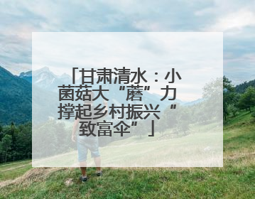 甘肃清水：小菌菇大“蘑”力撑起乡村振兴“致富伞”