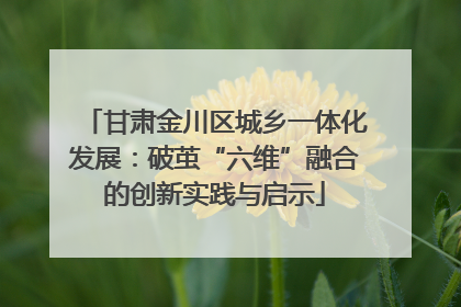 甘肃金川区城乡一体化发展：破茧“六维”融合的创新实践与启示
