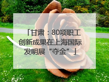 甘肃：80项职工创新成果在上海国际发明展“夺金”
