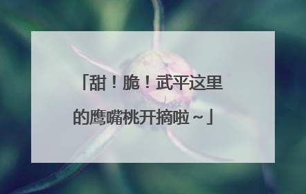甜！脆！武平这里的鹰嘴桃开摘啦～