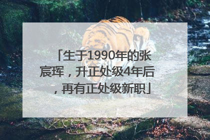 生于1990年的张宸珲，升正处级4年后，再有正处级新职