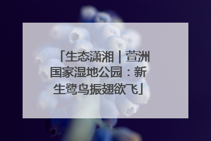 生态潇湘｜萱洲国家湿地公园：新生鹭鸟振翅欲飞