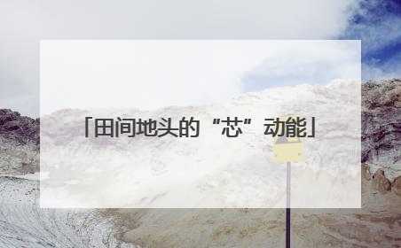 田间地头的“芯”动能